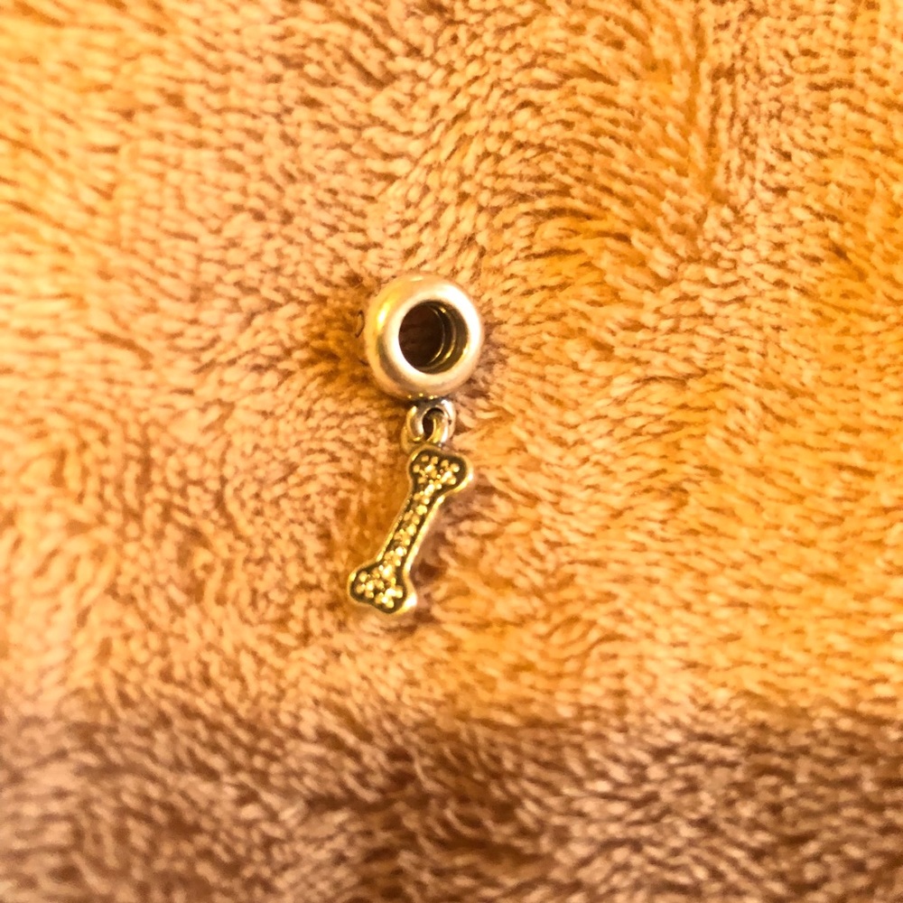 Dog bone charm from pandora